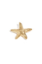 Starfish haarclip